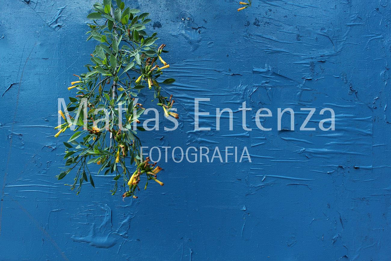 fotografia artísica 01