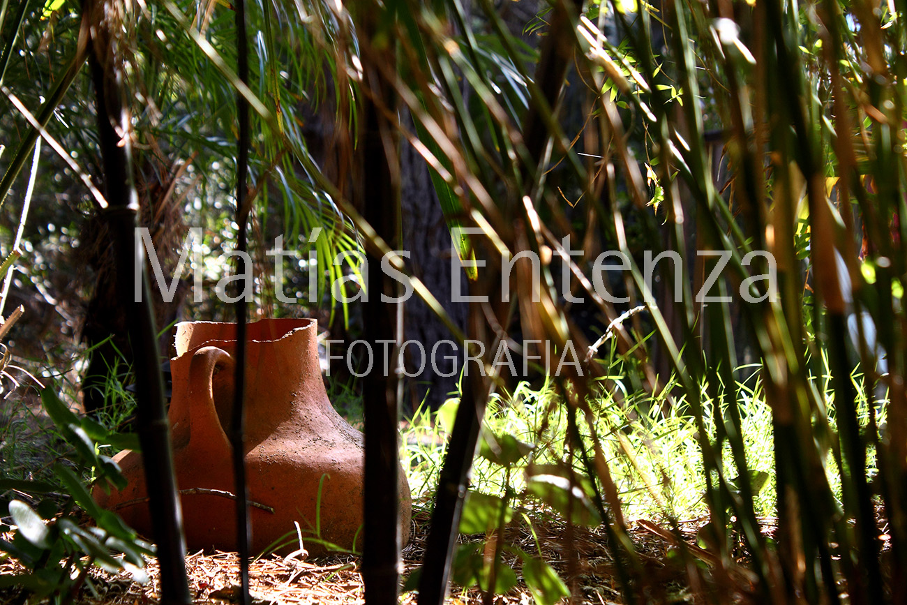 fotografia artísica 03