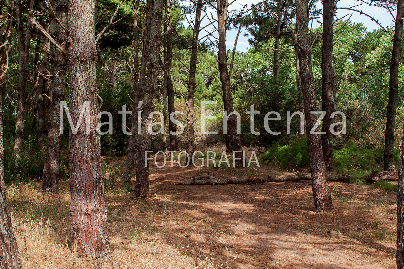 fotografia artísica 04