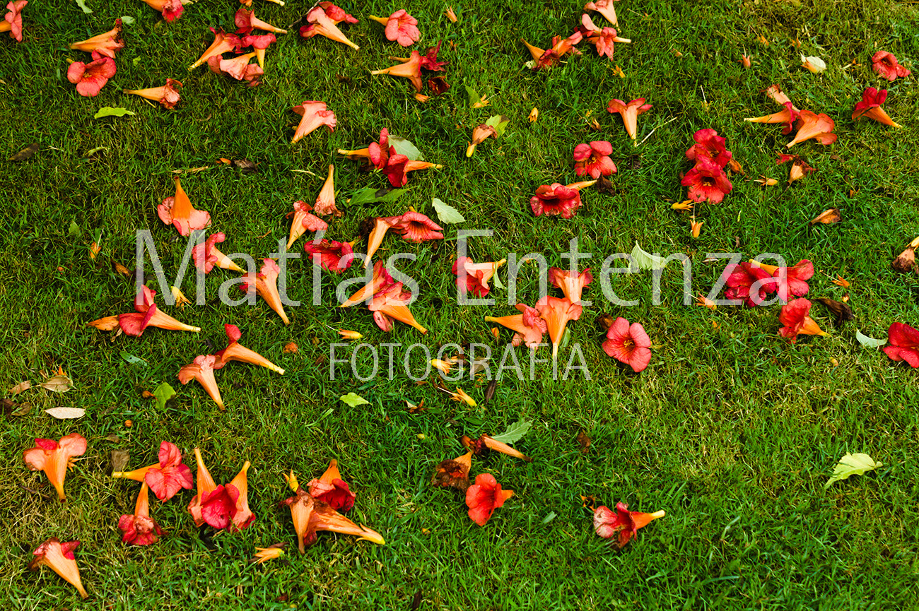 fotografia artísica 05