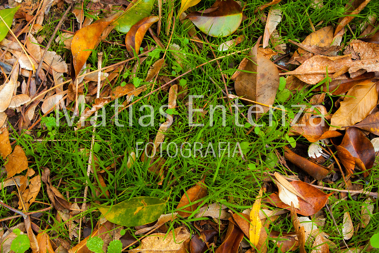 fotografia artísica 06