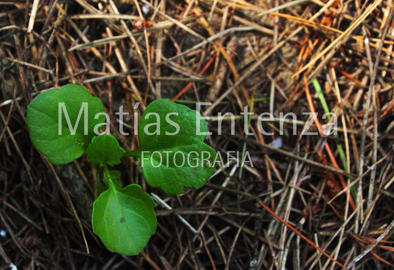 fotografia artísica 07