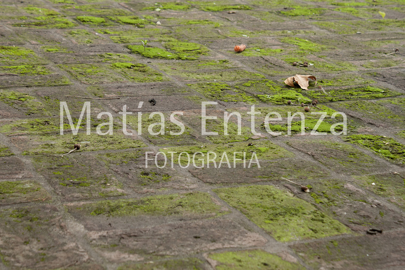 fotografia artísica 09