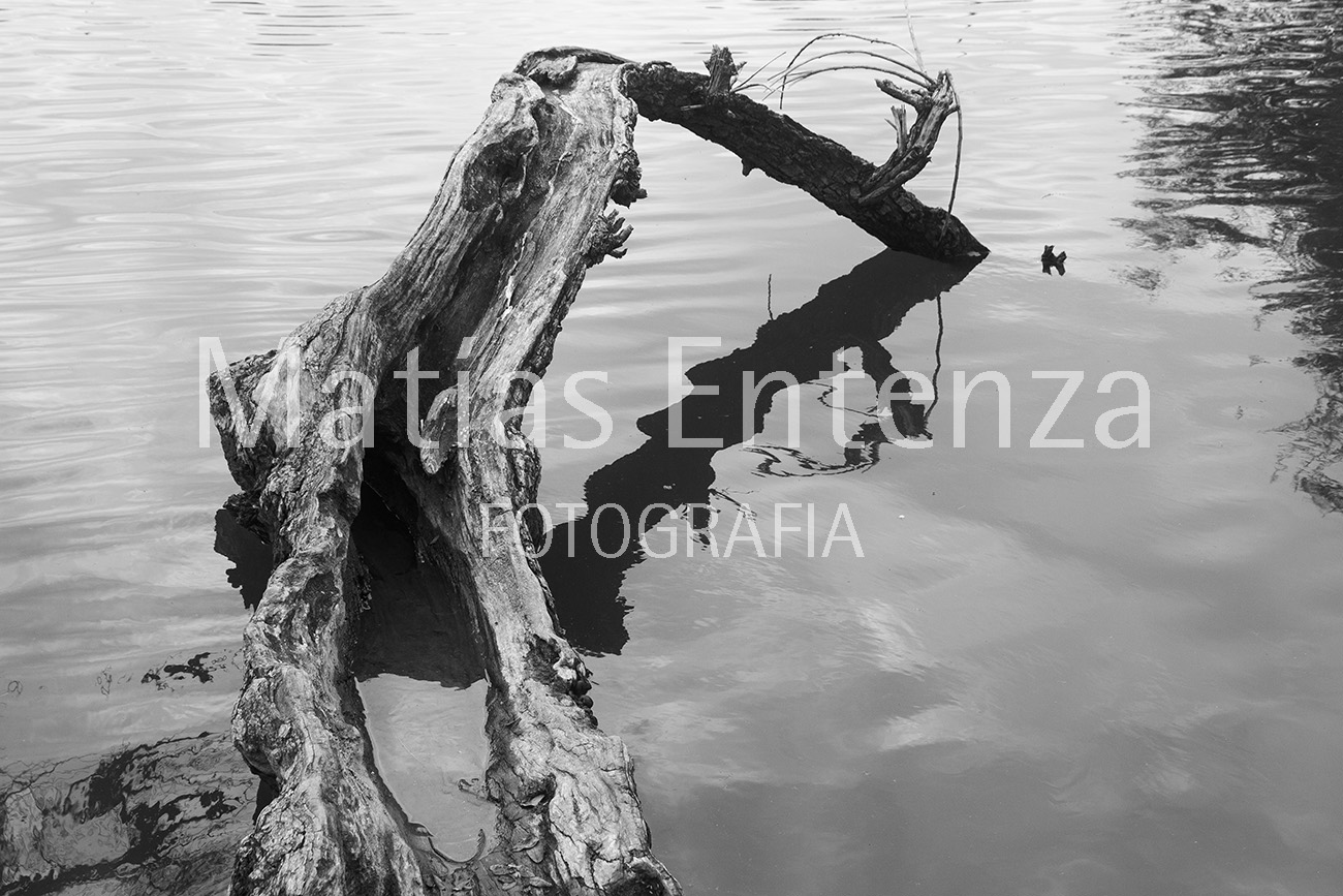 fotografia artísica 10
