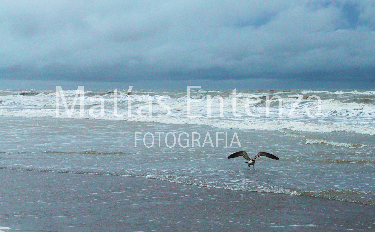 fotografia artísica 13