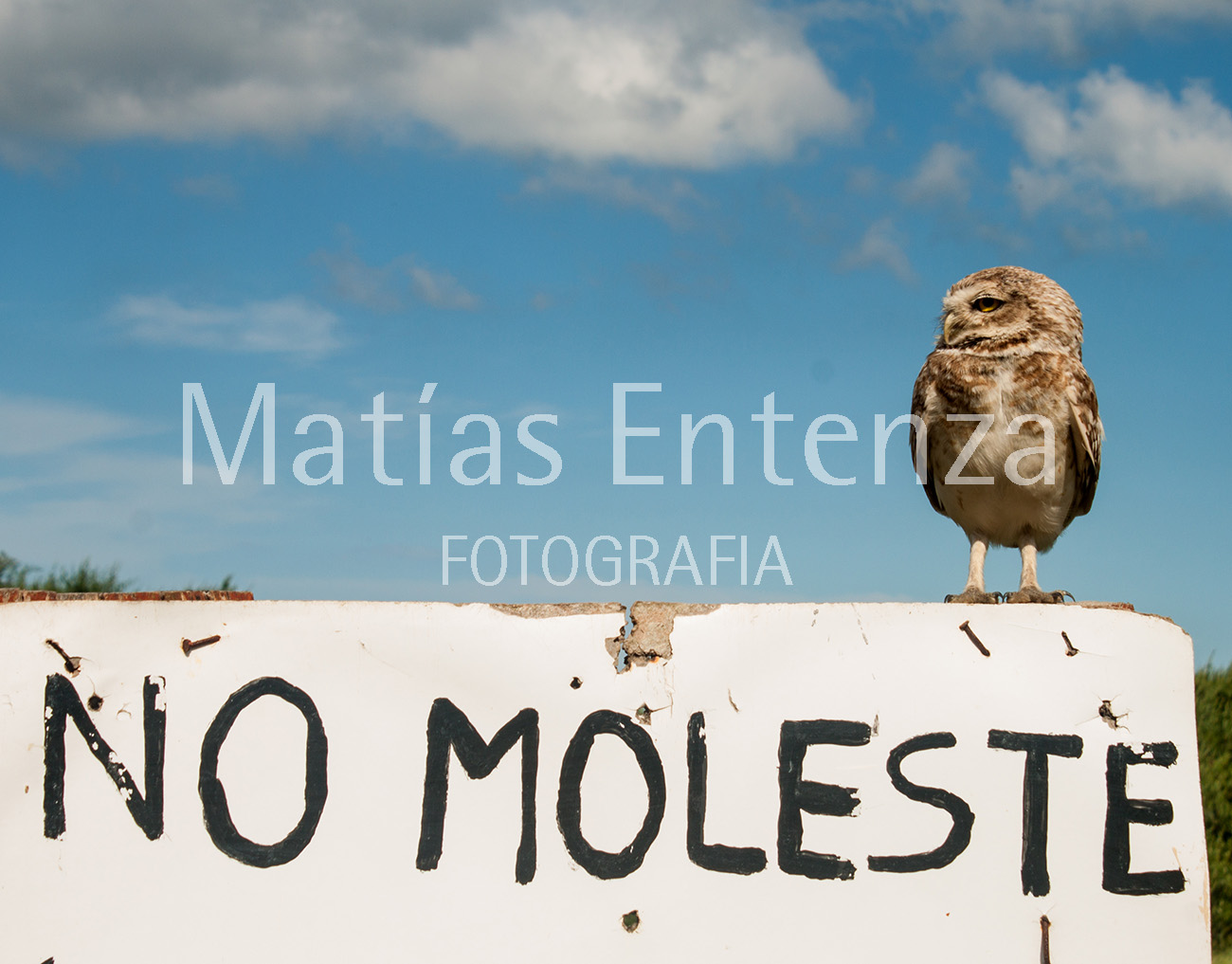 fotografia artísica 15
