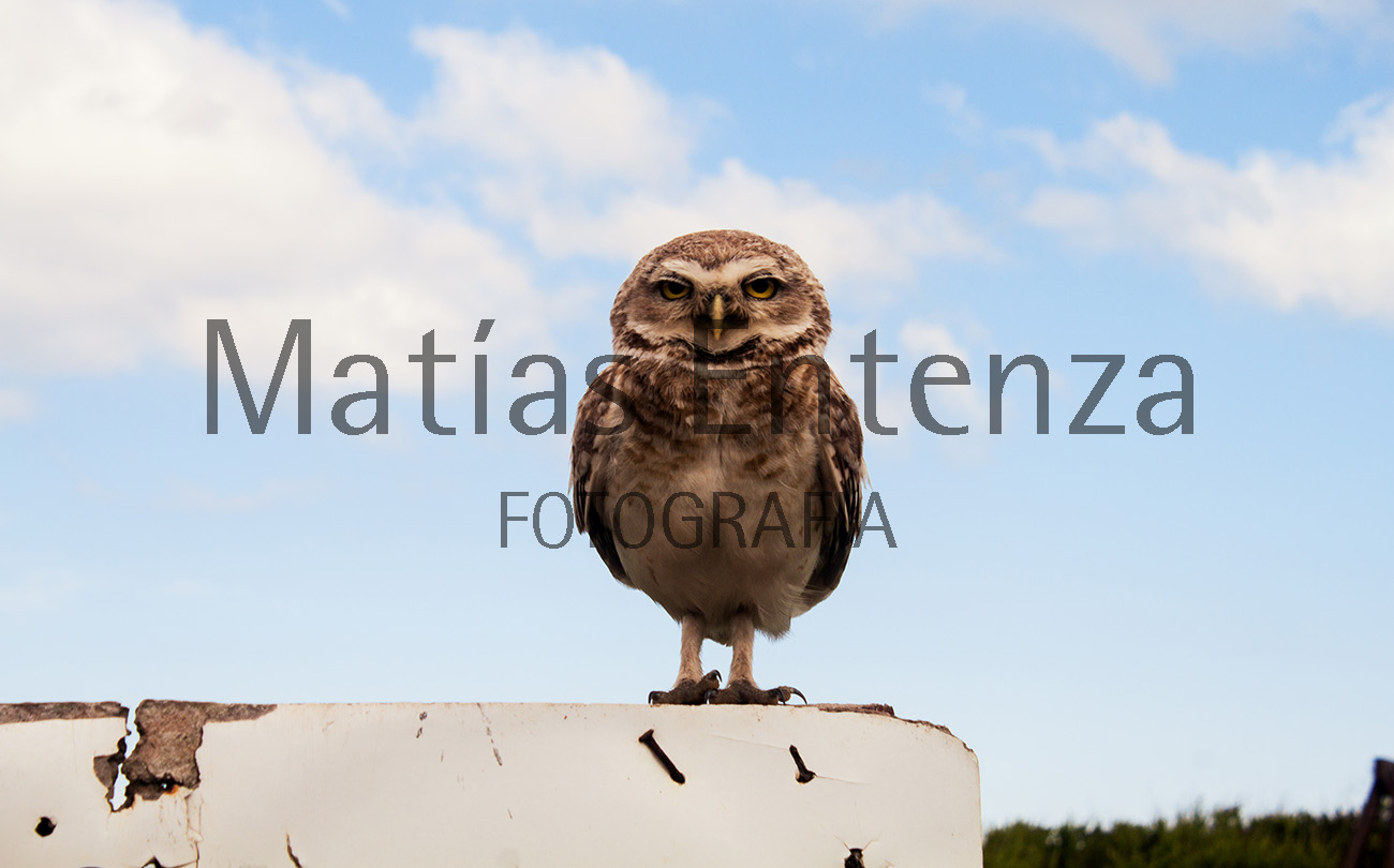 fotografia artísica 16