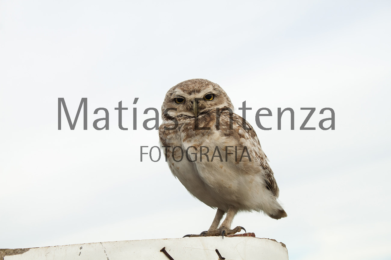 fotografia artísica 18