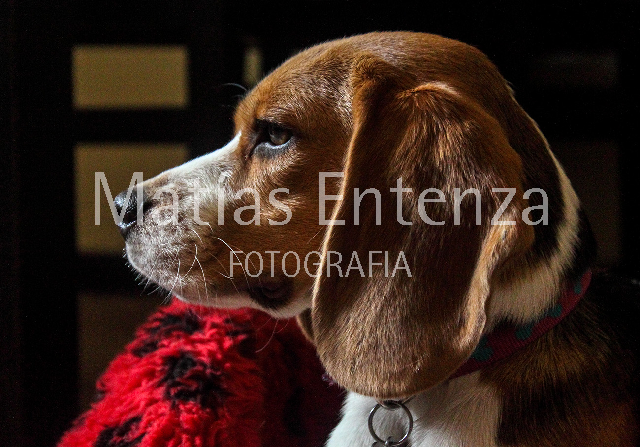 fotografia artísica 19