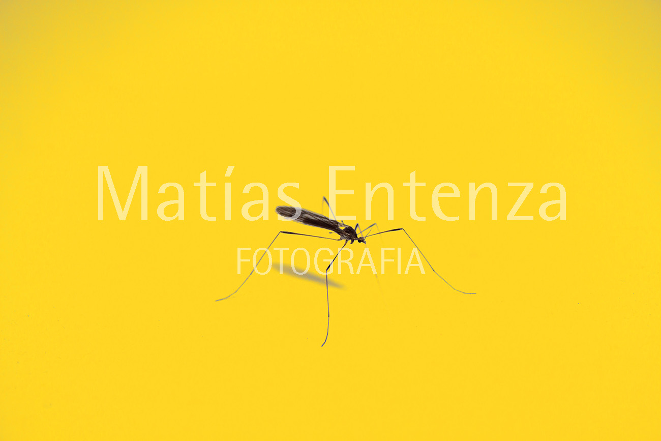 fotografia artísica 20