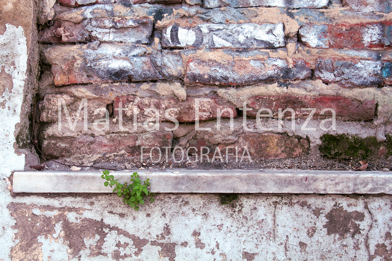 fotografia artísica 31
